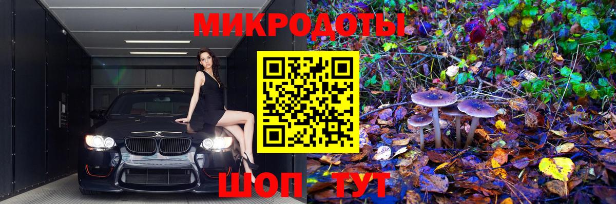 Галлюциногенные грибы GOLDEN TEACHER Тимашёвск